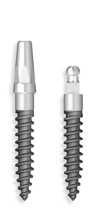 Protem Implant Protern Onebody System